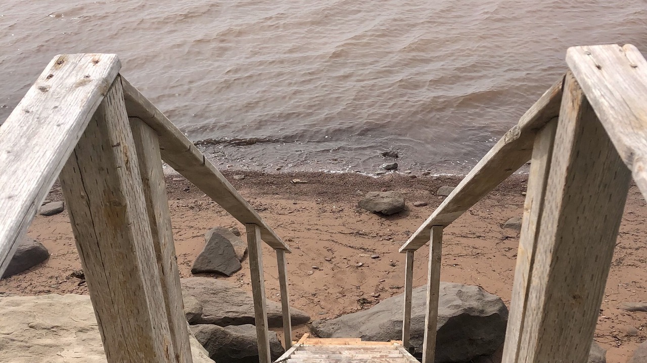 Photo of Others in Botsford