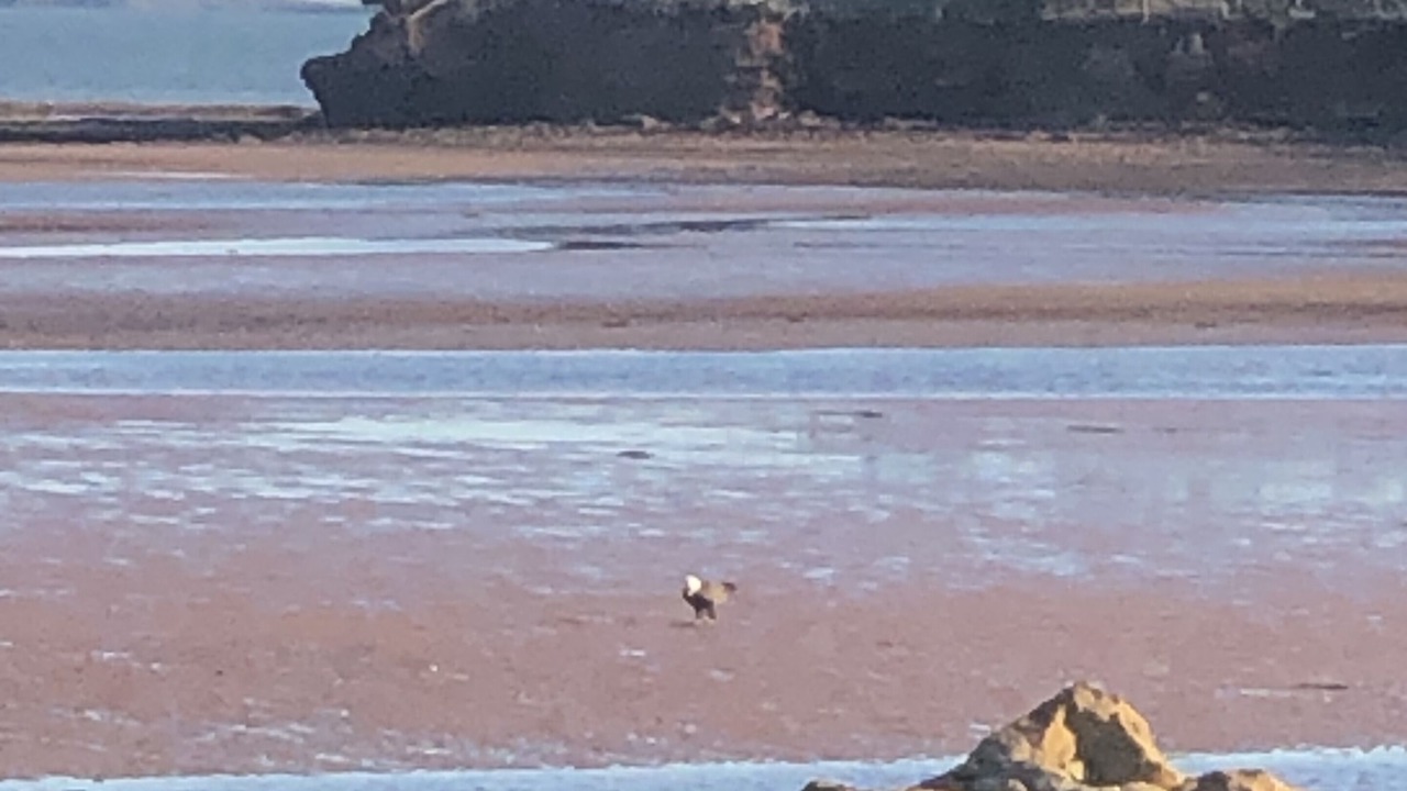 Photo of Others in Botsford