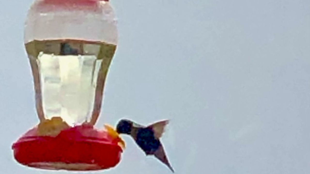 Photo of Others in Botsford