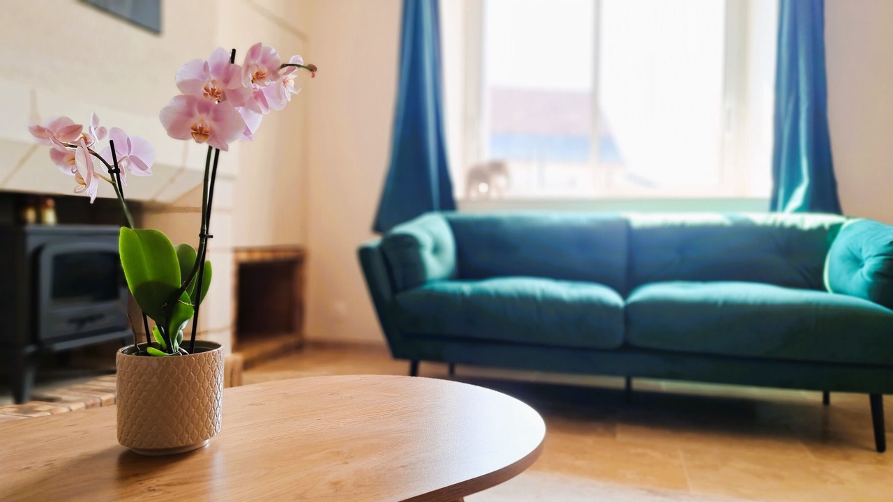 Photo of Livingroom in Saint-Branchs