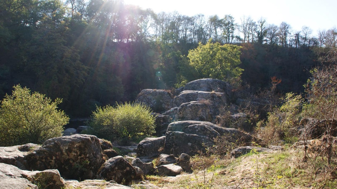 Photo of Others in Lathus-Saint-Remy