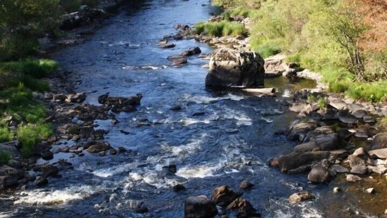 Photo of Others in Lathus-Saint-Remy