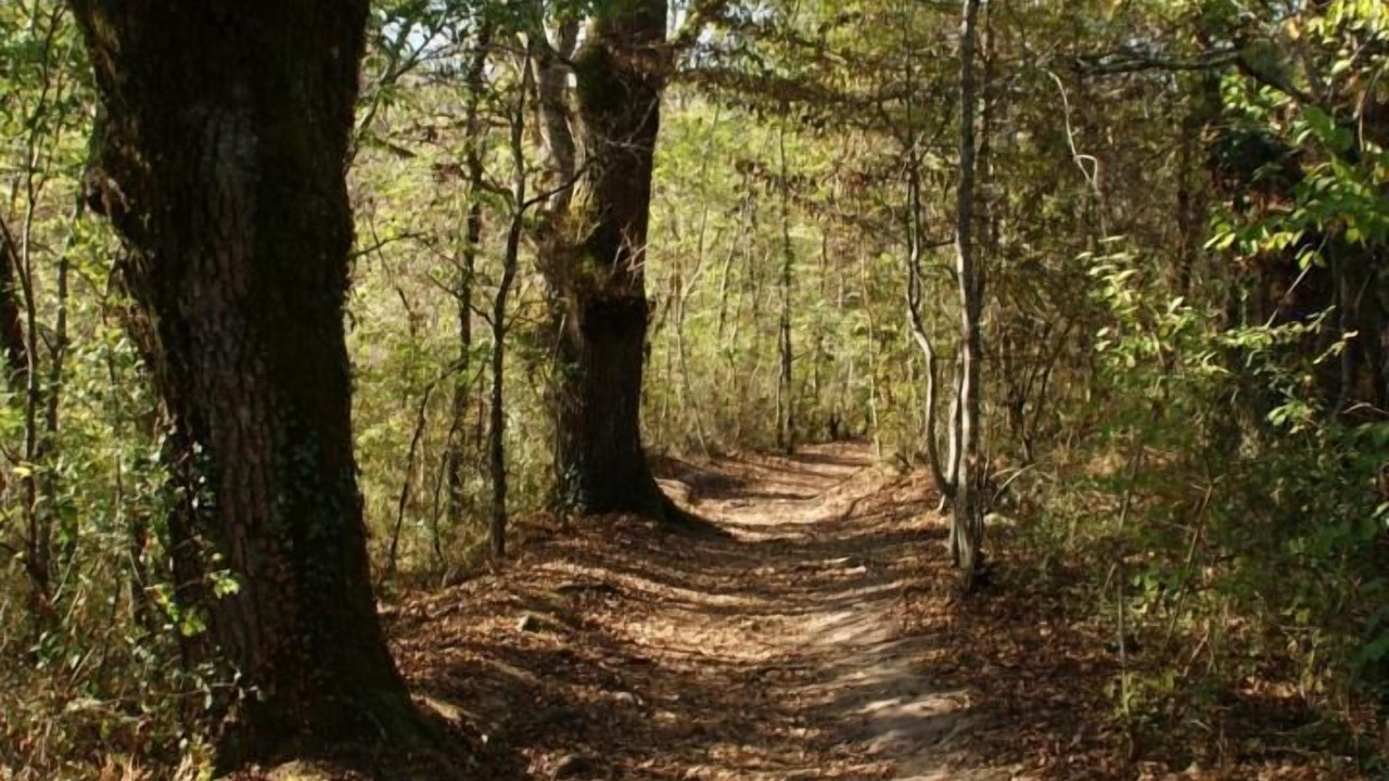Photo of Others in Lathus-Saint-Remy