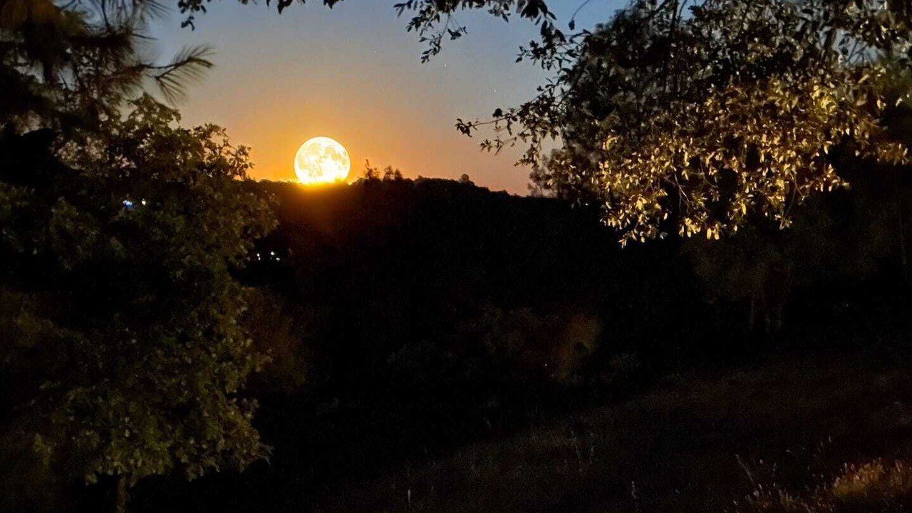 Photo of Others in Iowa Hill