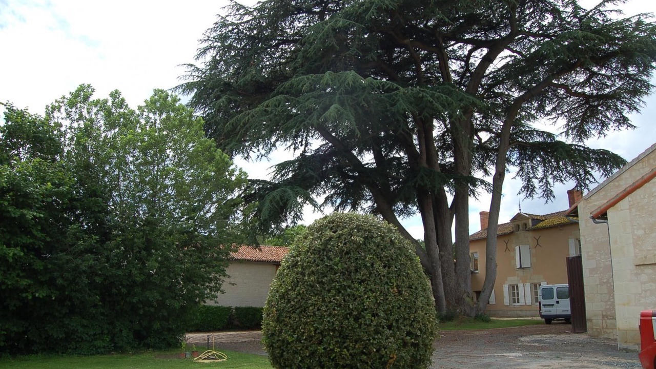 Photo of Outdoor in Bournand