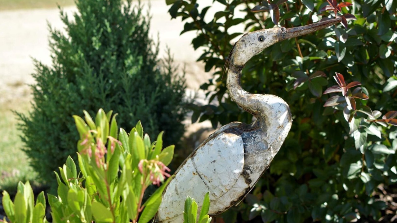 Photo of Outdoor in Bournand