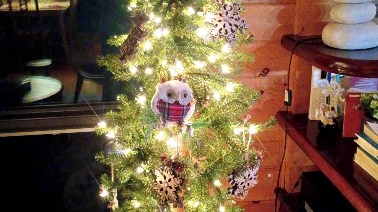 Photo of Others in Townsend