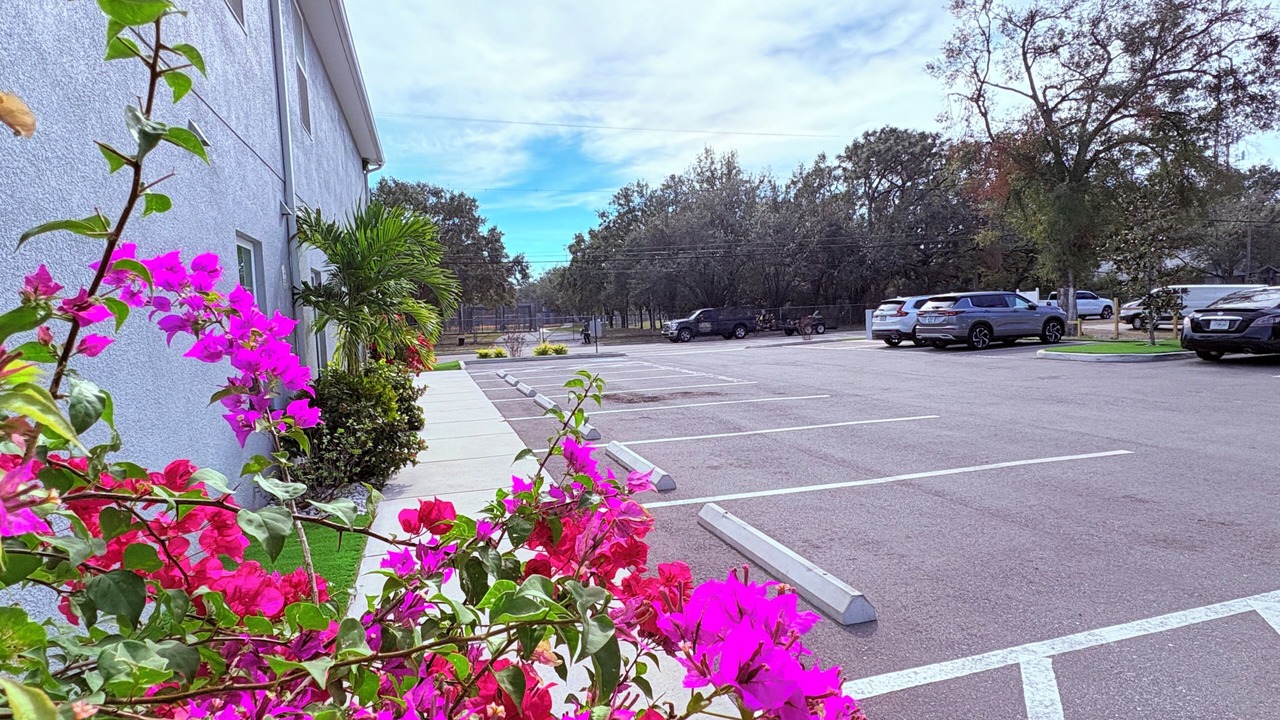 Photo of Outdoor in Tampa