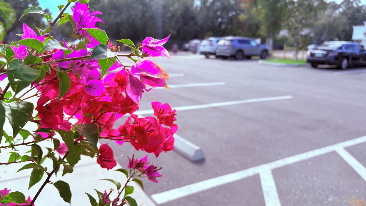 Photo of Outdoor in Tampa