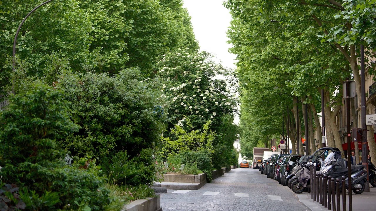 Photo of Others in Quartier de la Porte-Saint-Denis