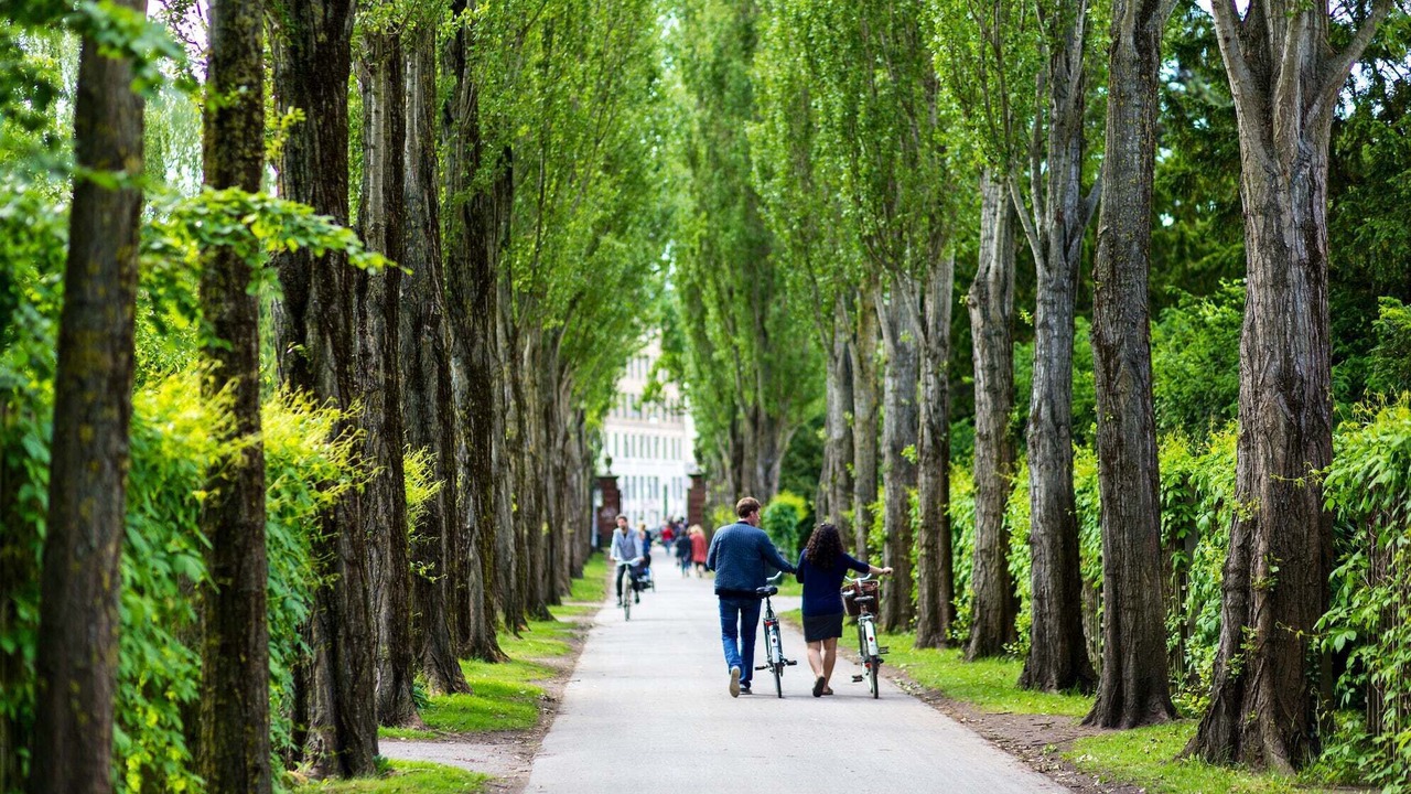 Photo of Others in København N