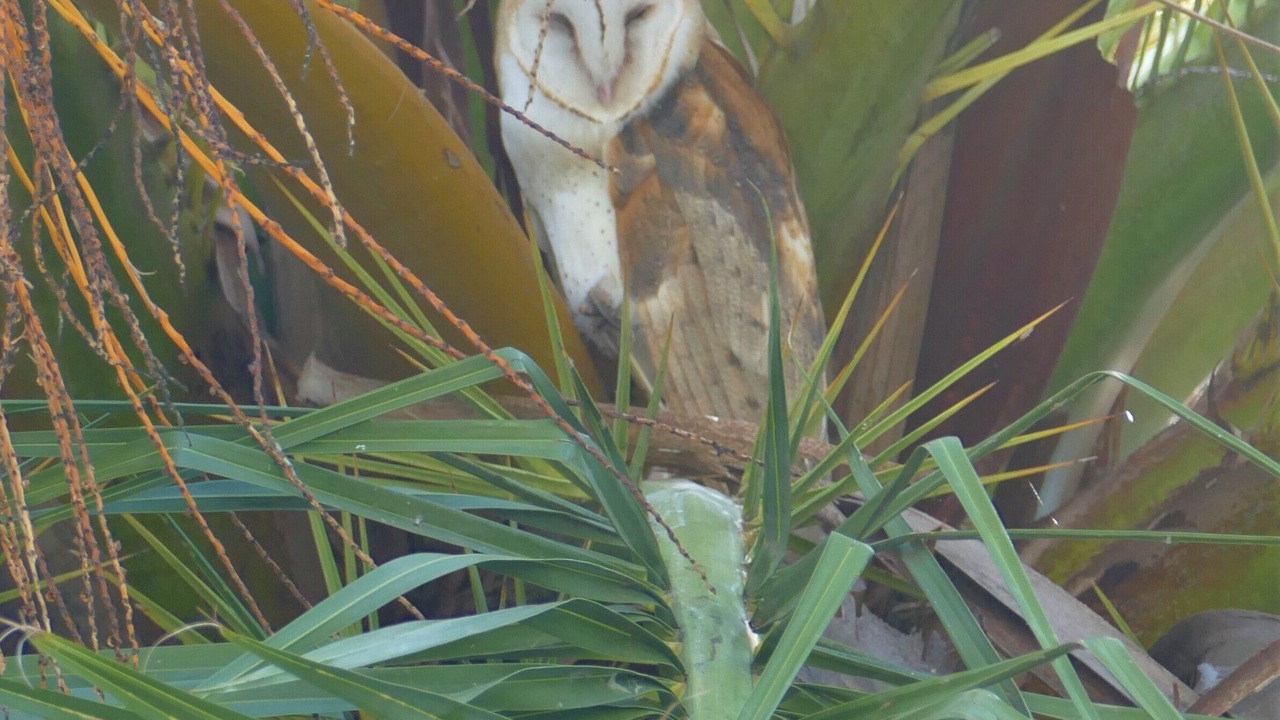 Photo of Outdoor in Nice