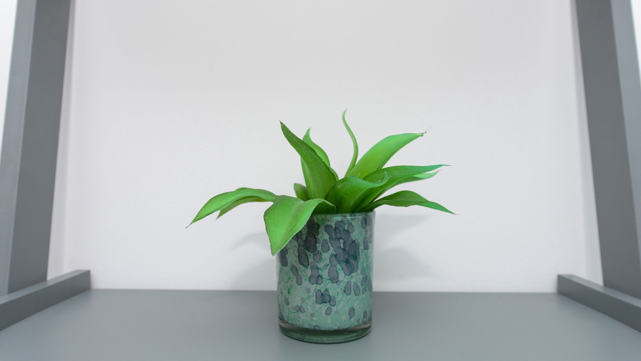 Photo of Others in Gedling