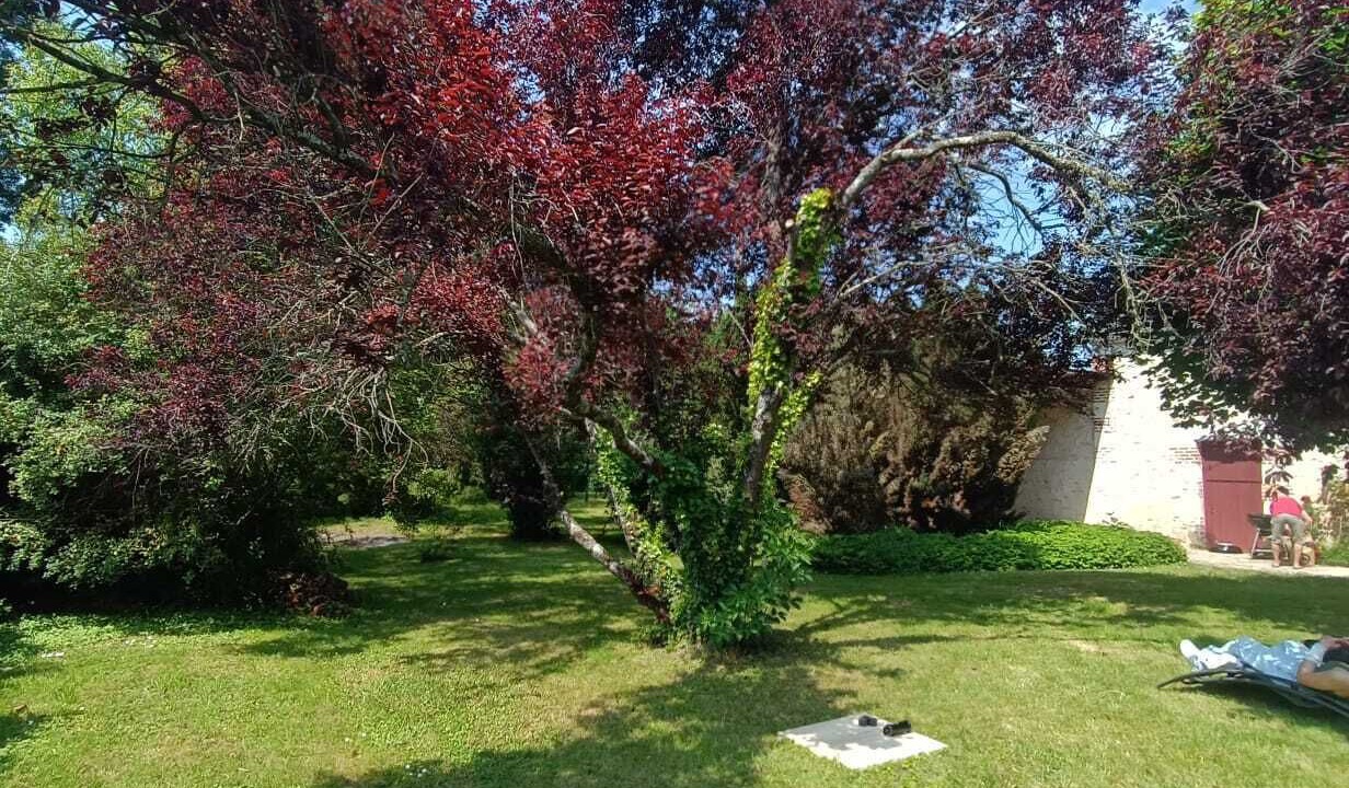 Photo of Outdoor in Cheille