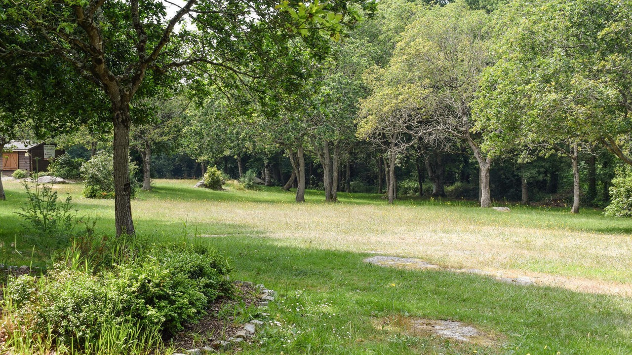 Photo of Others in Becleguer