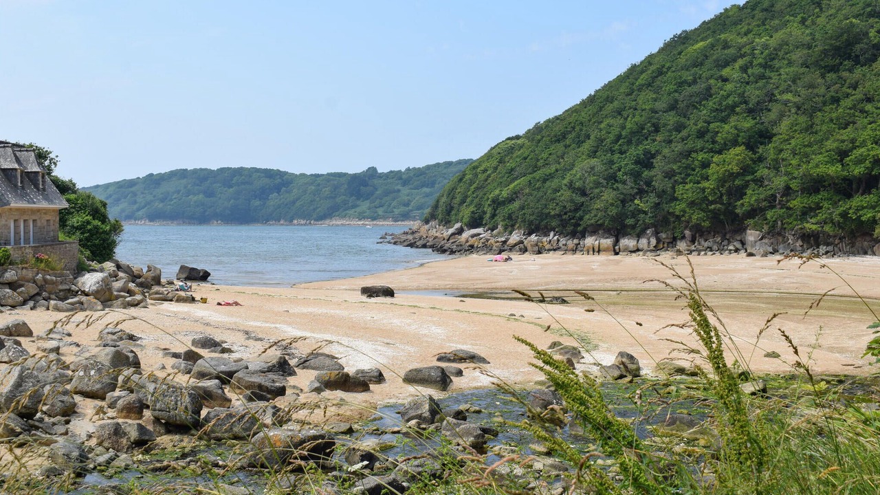 Photo of Others in Becleguer