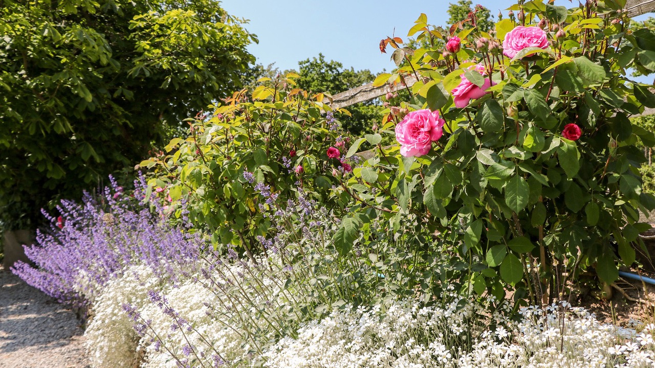 Photo of Outdoor in Hope