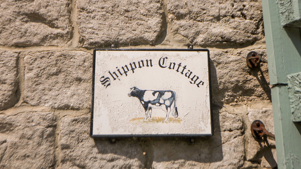 Photo of Outdoor in Hope