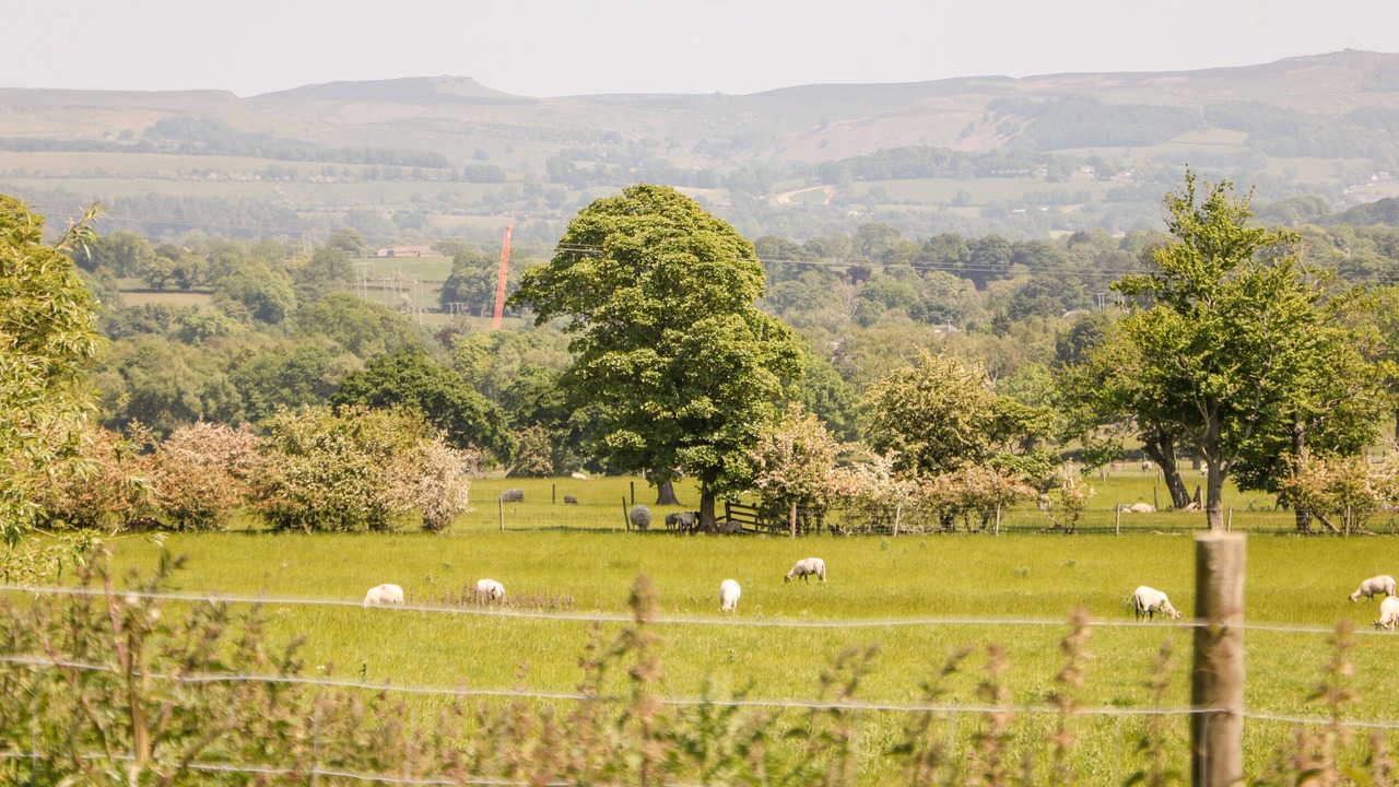 Photo of Others in Hope