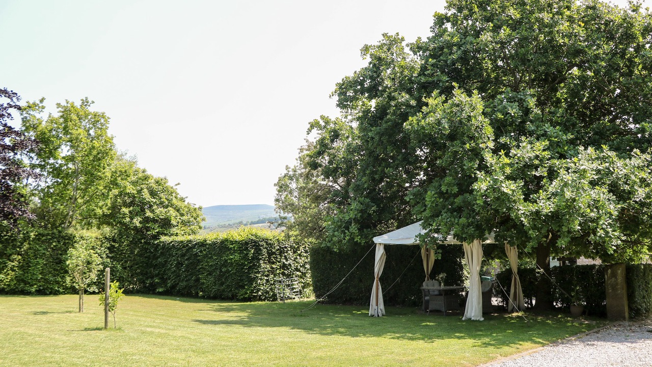 Photo of Outdoor in Hope