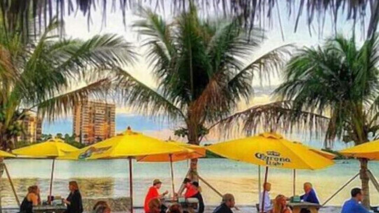 Photo of Outdoor in Sarasota