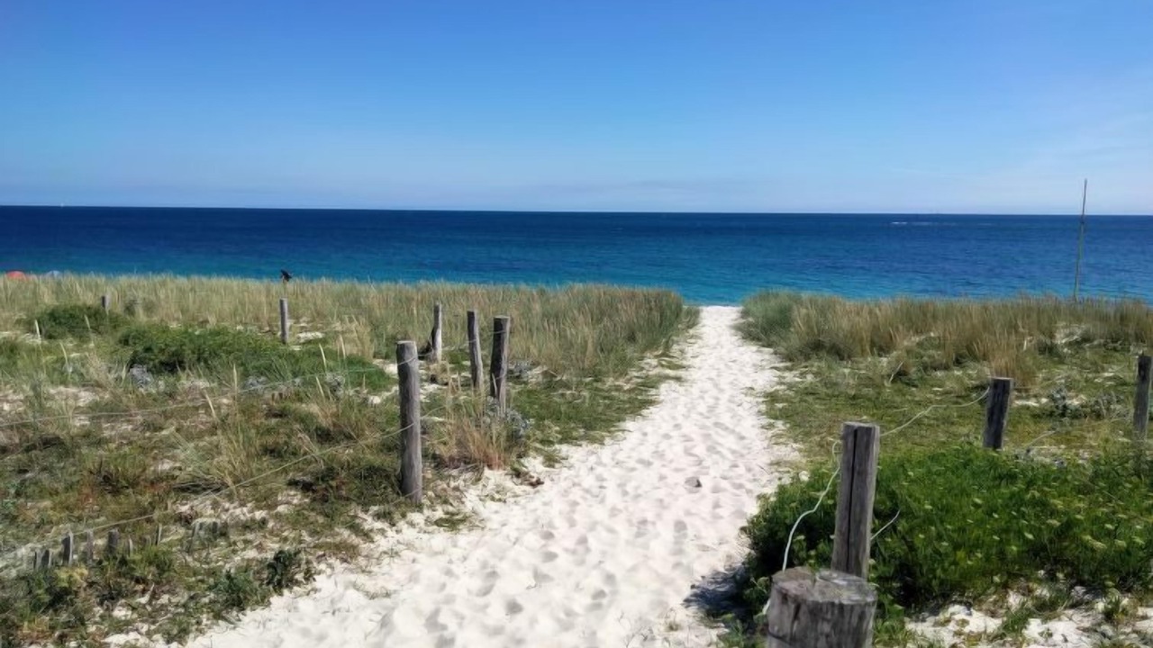 Photo of Others in Plovan