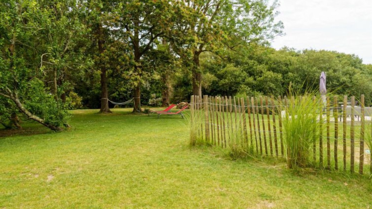 Photo of Others in Plovan