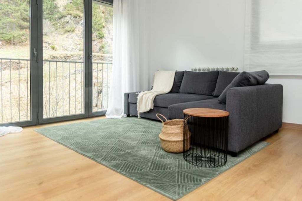Photo of Livingroom in Ransol