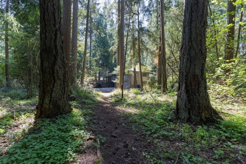 Photo of Others in Bridle Trails