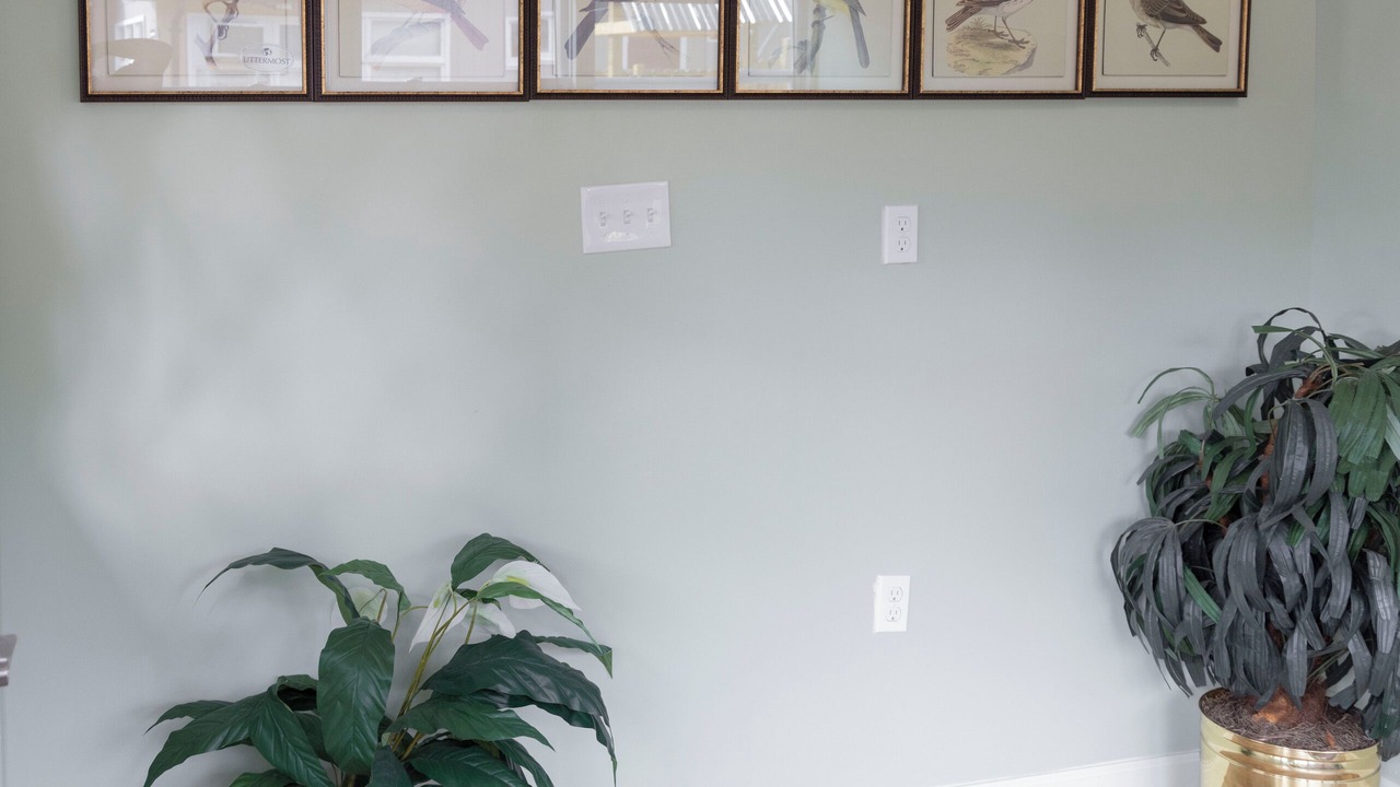 Photo of Others in Mountain Dale