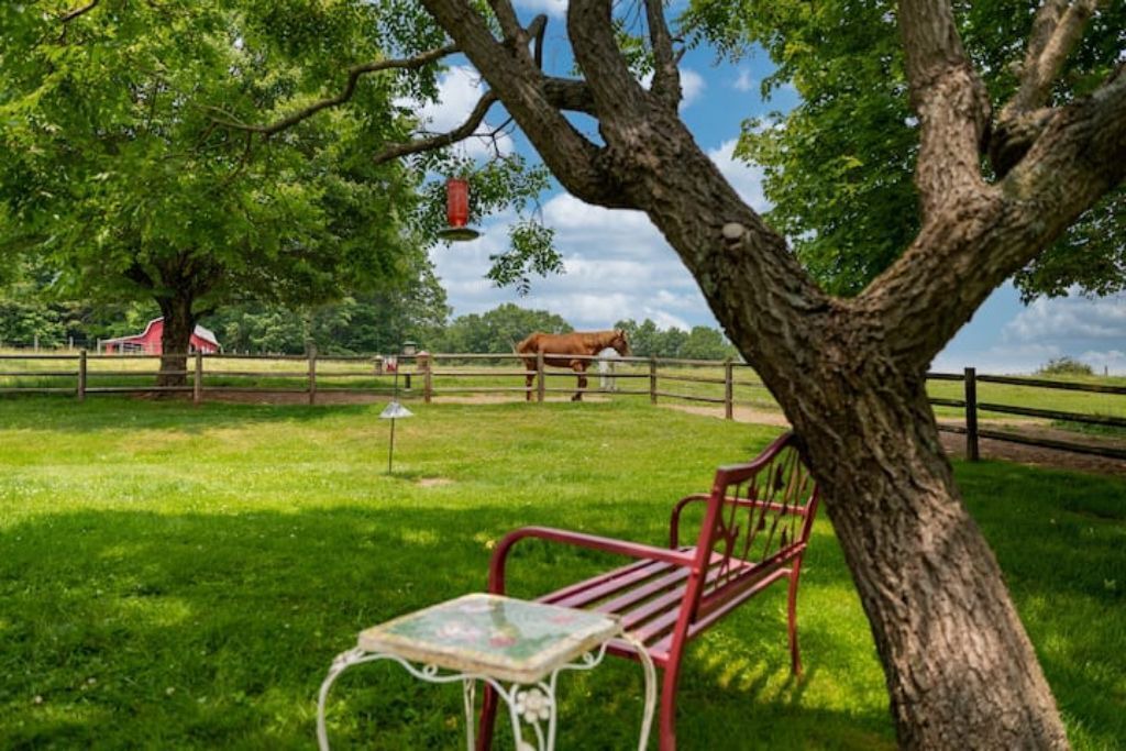 Photo of Outdoor in Galax