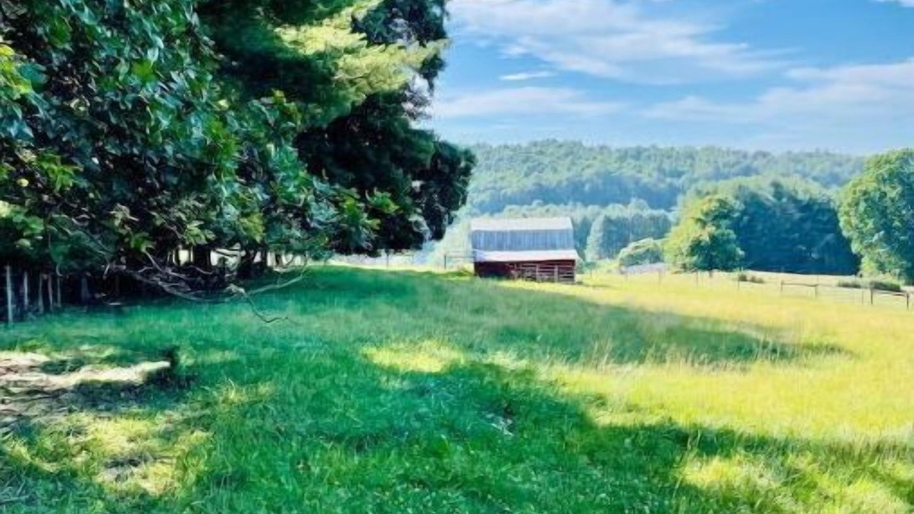 Photo of Outdoor in Galax