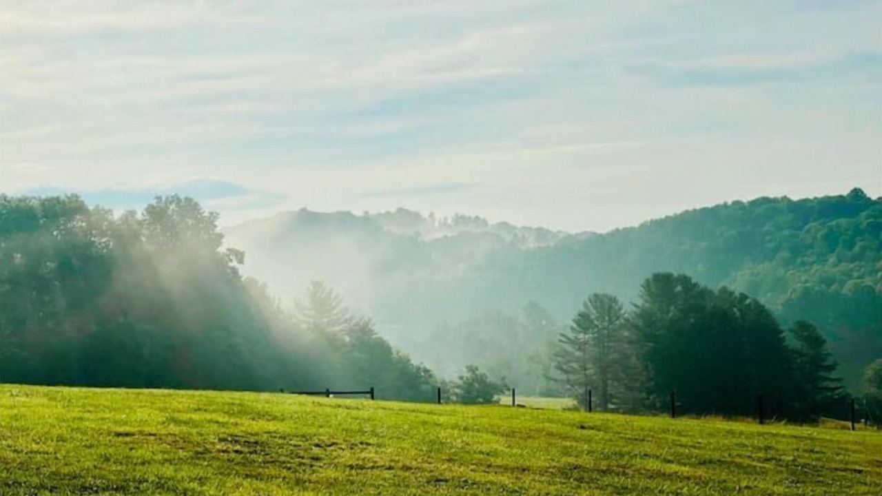 Photo of Others in Galax