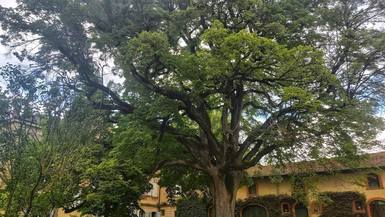 Photo of Outdoor in Hauterives