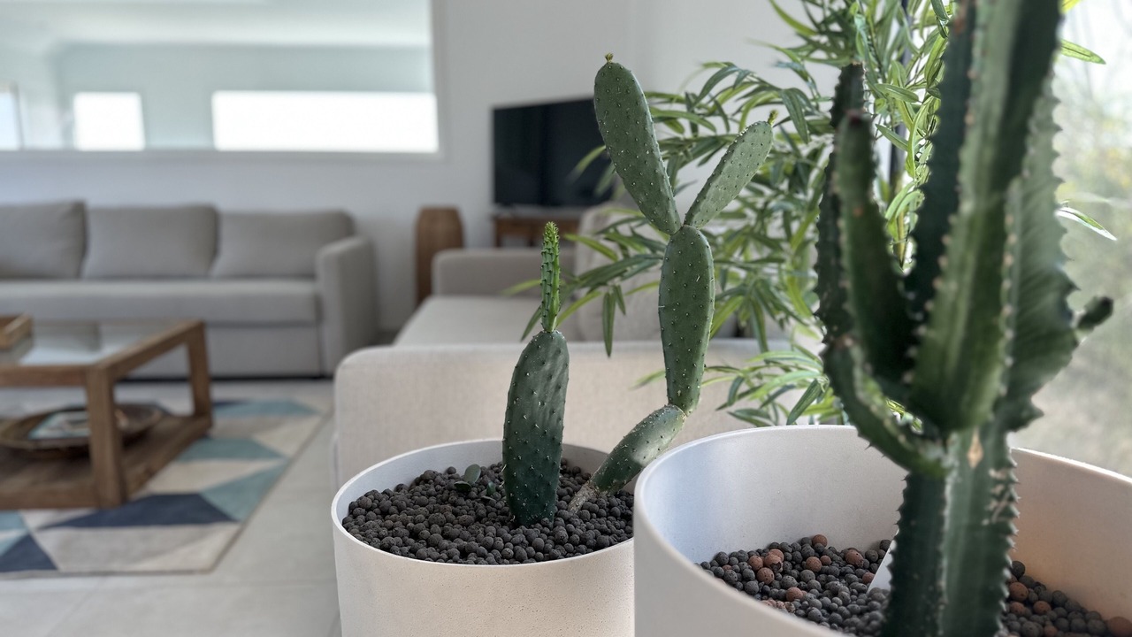 Photo of Livingroom in Tardinghen