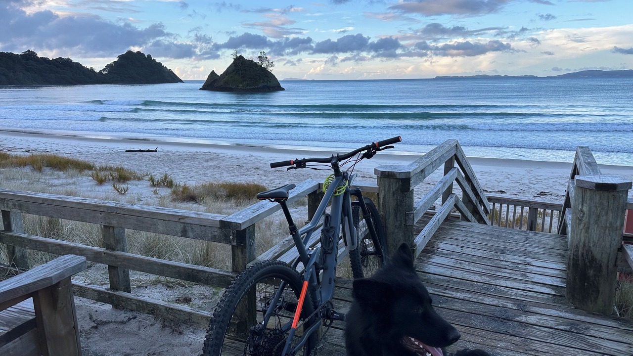 Photo of Others in Whangapoua