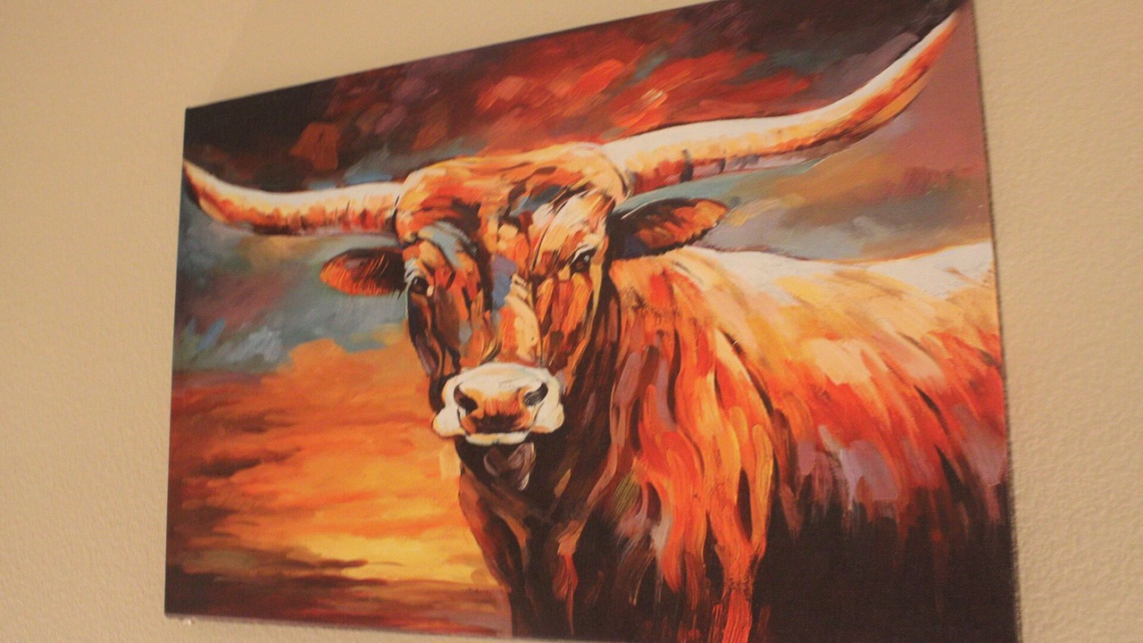 Photo of Others in North Burnet