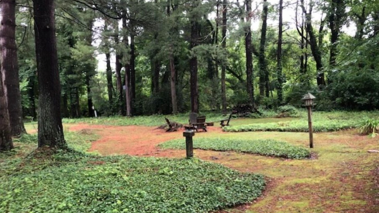 Photo of Outdoor in Miller Southside