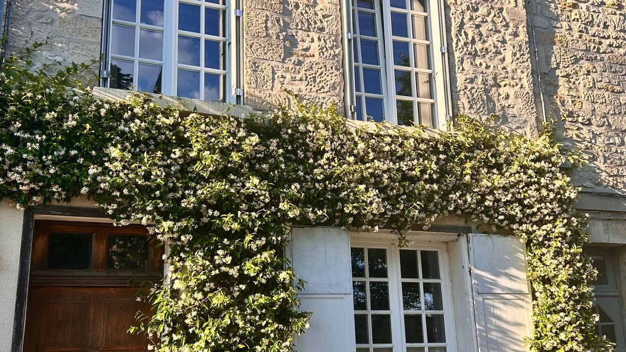 Photo of Outdoor in Senlis