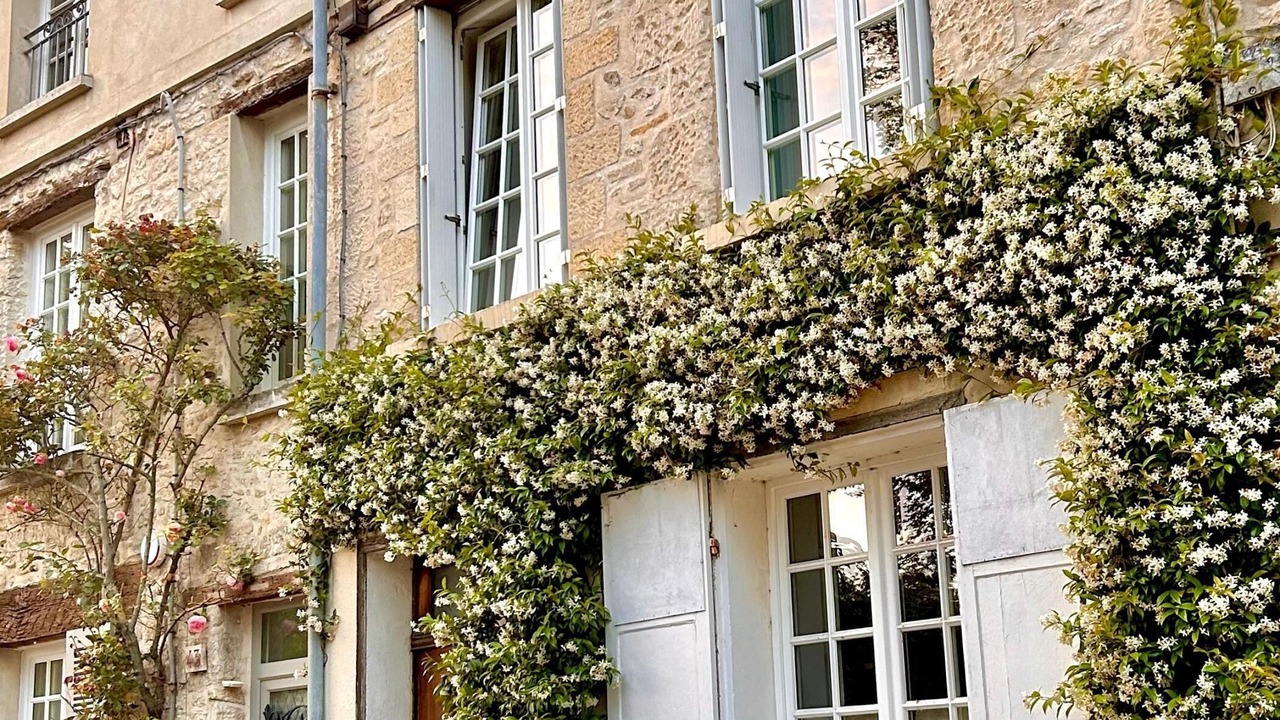 Photo of Outdoor in Senlis