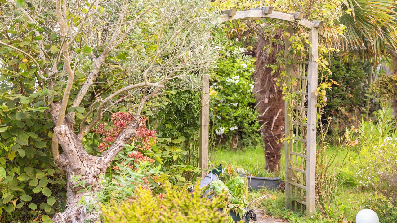 Photo of Outdoor in Guilvinec