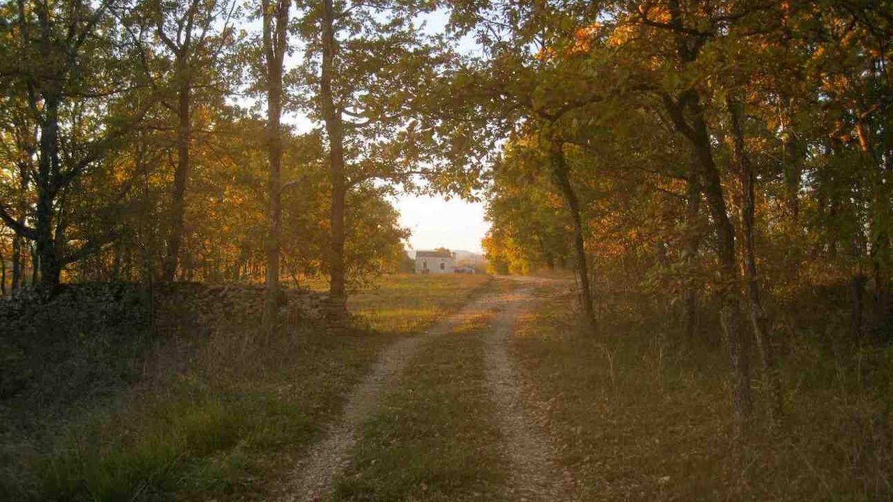 Photo of Outdoor in Thezac