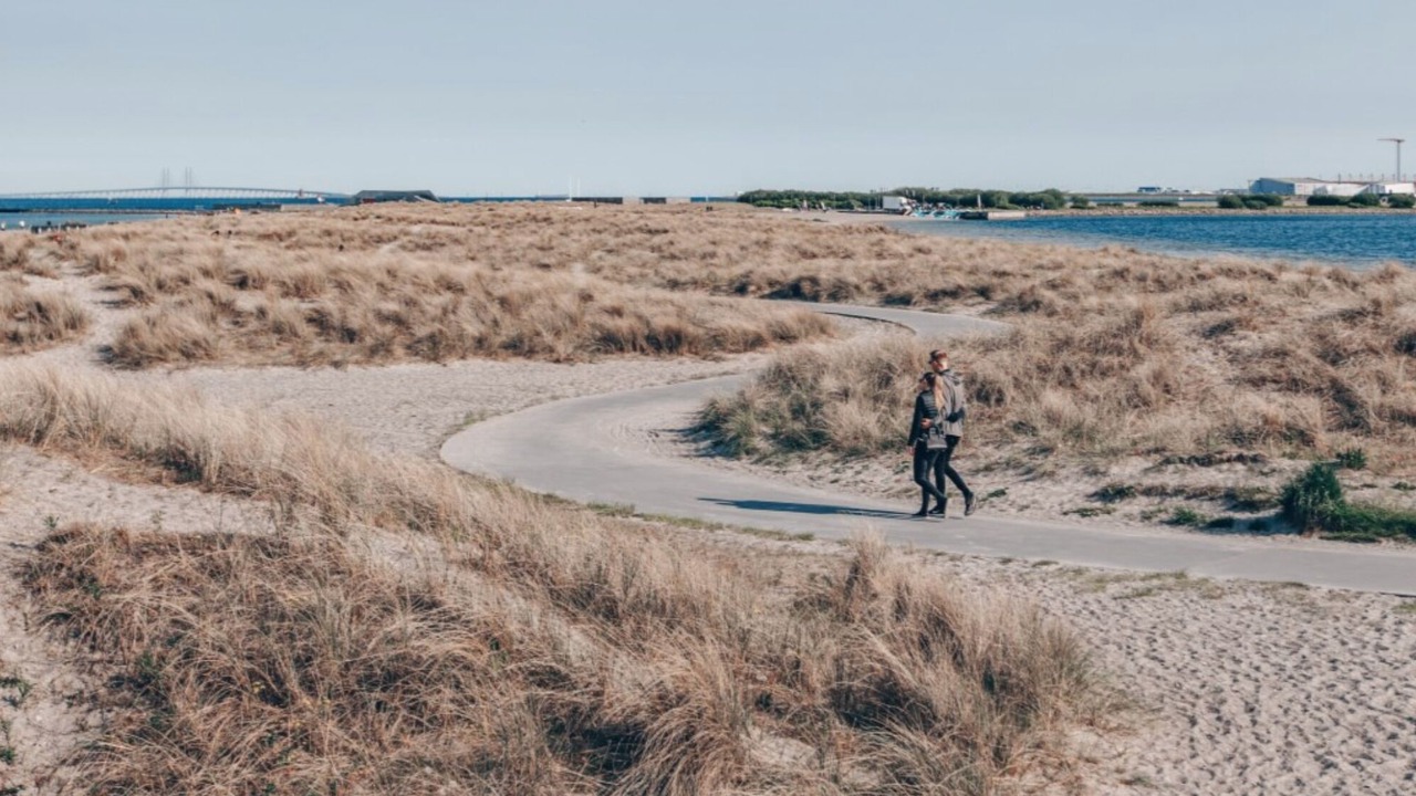 Photo of Others in Amager
