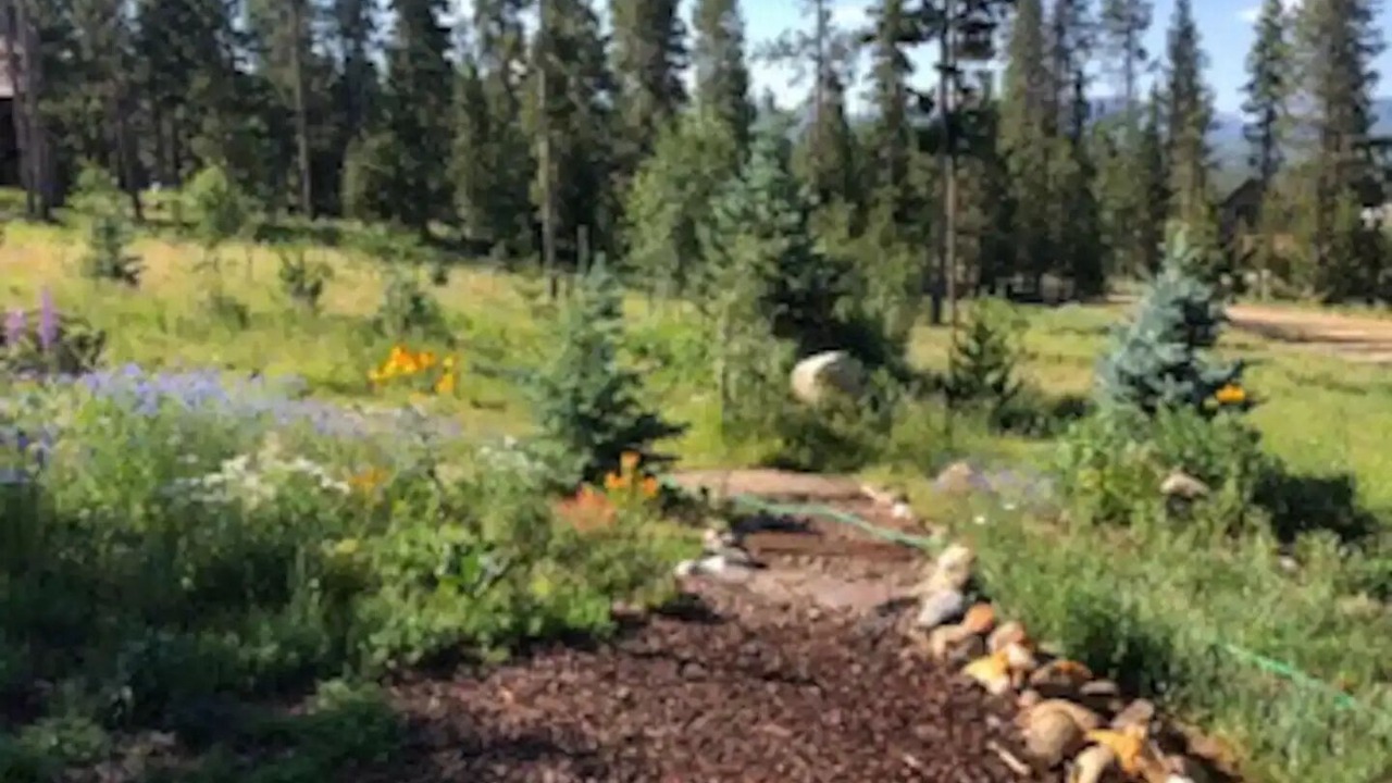 Photo of Outdoor in Sunset Ridge
