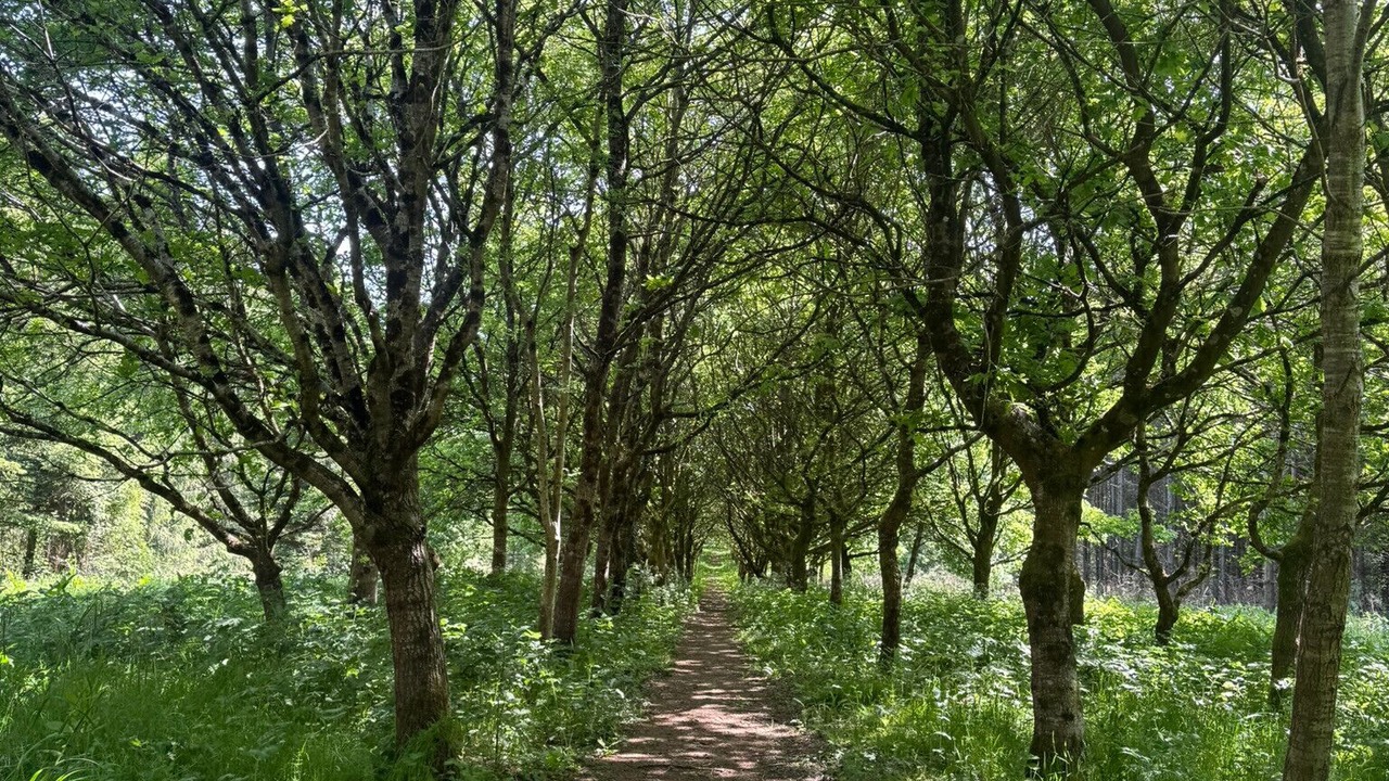 Photo of Others in Redlynch