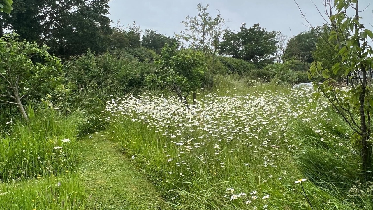 Photo of Others in Redlynch