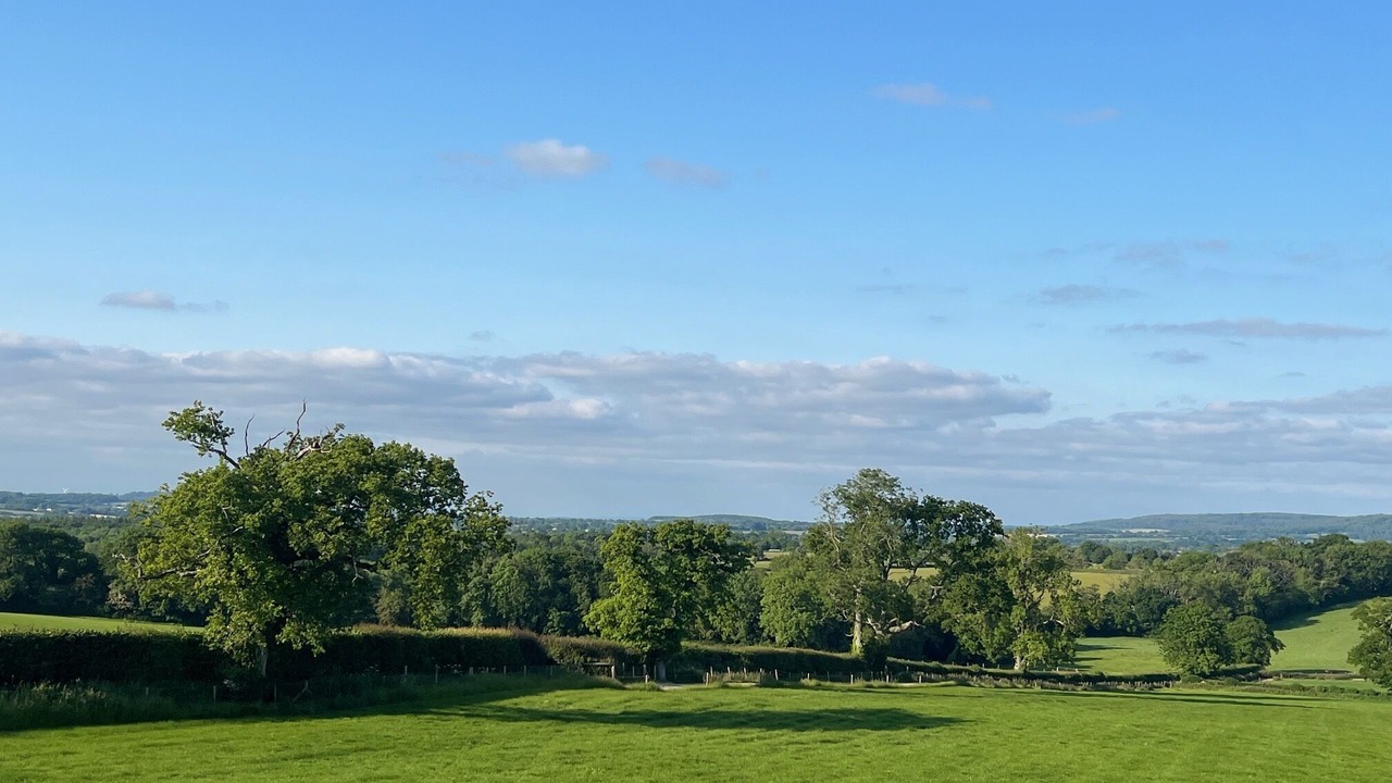 Photo of Others in Redlynch