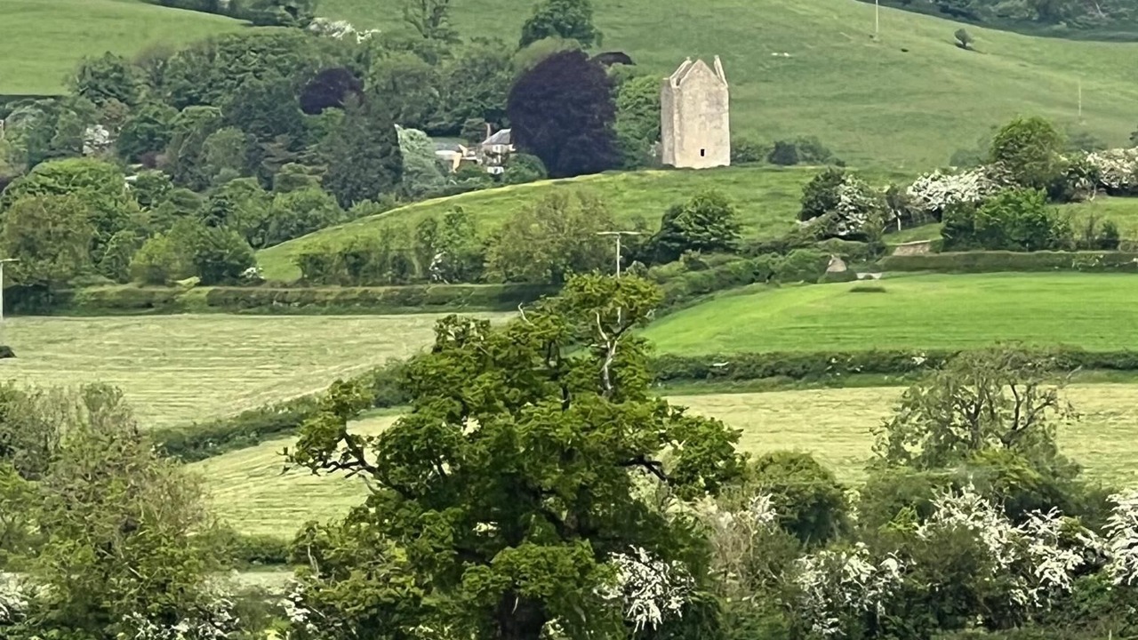 Photo of Others in Redlynch