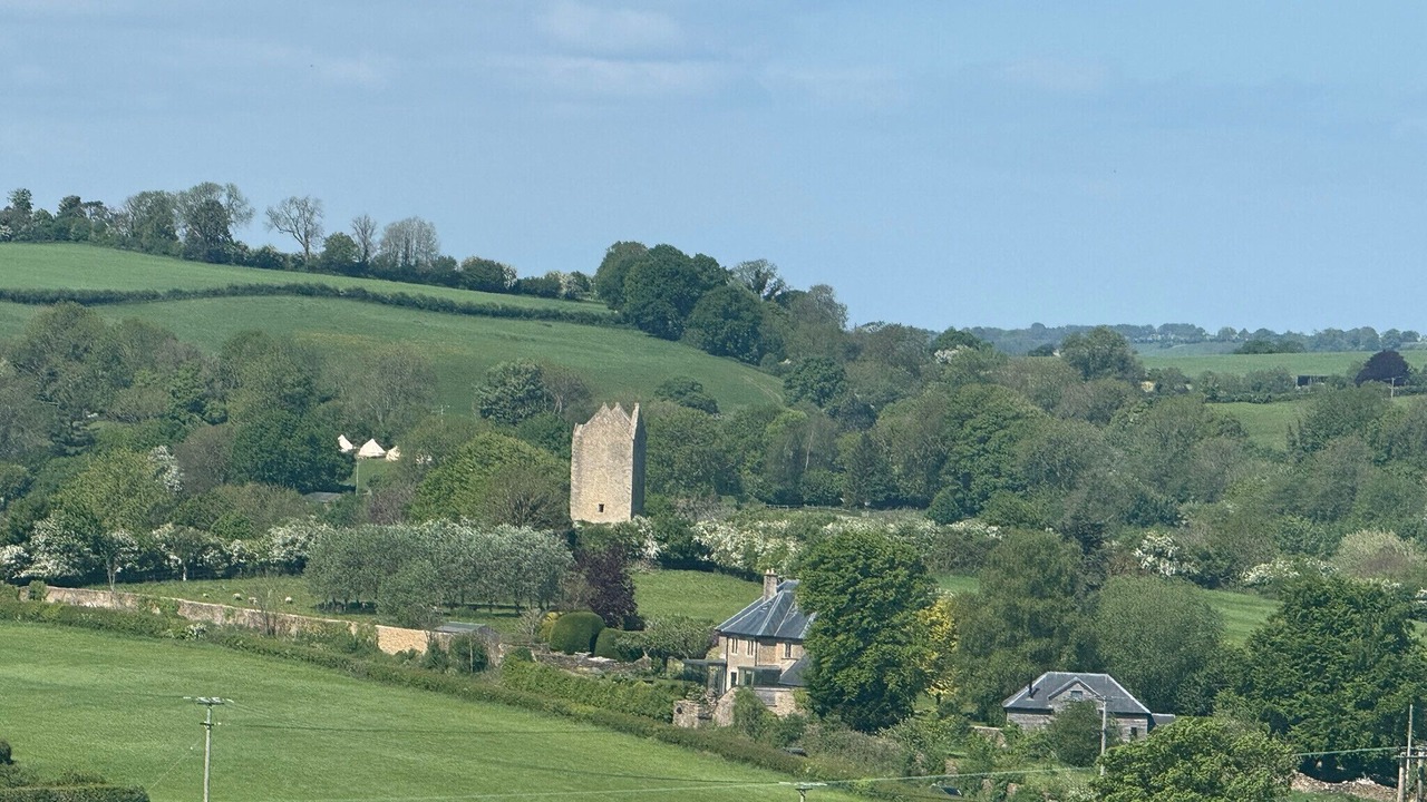 Photo of Others in Redlynch