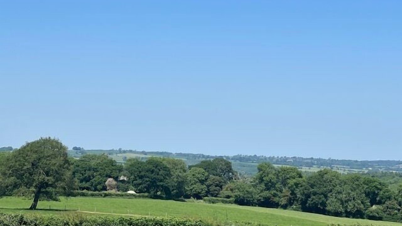 Photo of Others in Redlynch